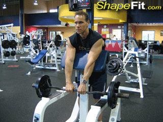 آموزش حرکات عضلات ساعد در بدنسازی